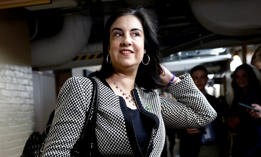Supreme Court saves Rep. Nicole Malliotakis' Staten Island district