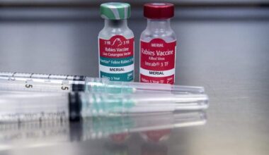 NY coyote positive for rabies after attacking 3 people, 6 dogs – NBC New York