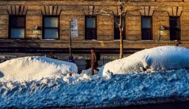 Vital City | For Whom the Plows Come