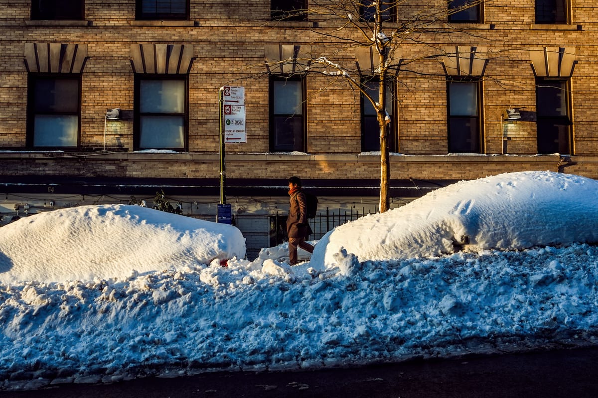 Vital City | For Whom the Plows Come