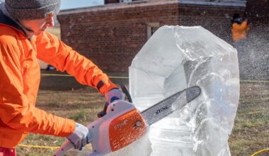 GI Ice Sculpting