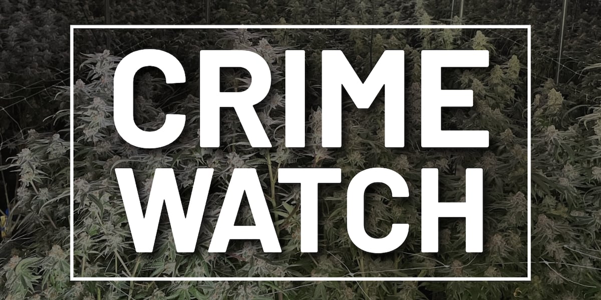 Alleged leader of large-scale criminal organization transferred from NYC to Oklahoma