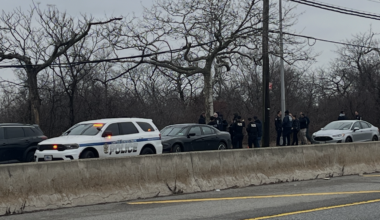 sources — Queens Daily Eagle