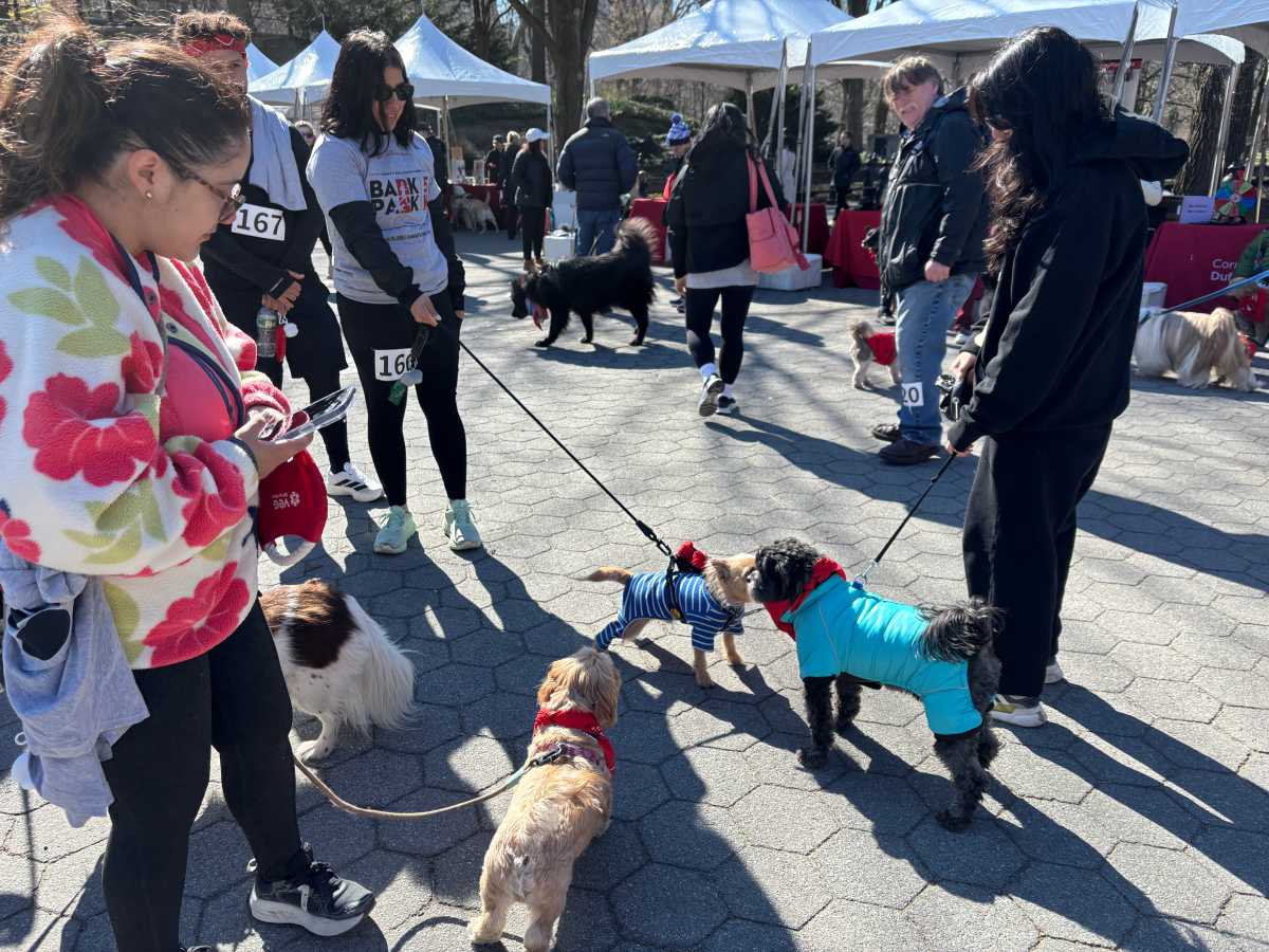 Dogs met each other at Bark in the Park.
