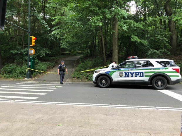 NYPD officers are pictured at the scene of an attempted rape in the Great Hill section of Central Park near W. 104th St. and West Drive. (Kerry Burke / New York Daily News) 