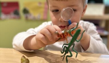 Spark Curiosity This Summer at Brooklyn Preschool of Science (sponsored) | Brooklyn Bridge Parents