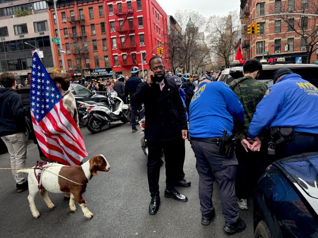 A goat looks on as police arrest a man on E. 87th St. in Manhattan after an incendiary device was thrown at far-right influencer Jake Lang and his supporters during a protest and counter-protest on the Upper East Side Saturday, March 7, 2026. (Rebecca White / New York Daily News) 