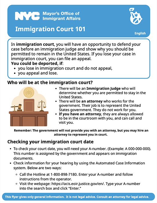 Immigration Court 101 One Pager