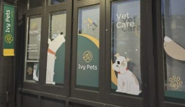 Tribeca Citizen | Ivy Pets (Tribeca Veterinary Wellness) has closed permanently