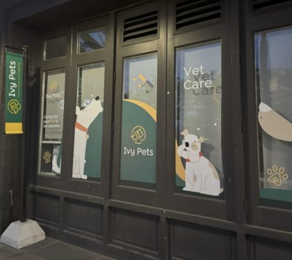 Tribeca Citizen | Ivy Pets (Tribeca Veterinary Wellness) has closed permanently