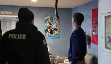 Tree falls on SUNY Potsdam students’ home