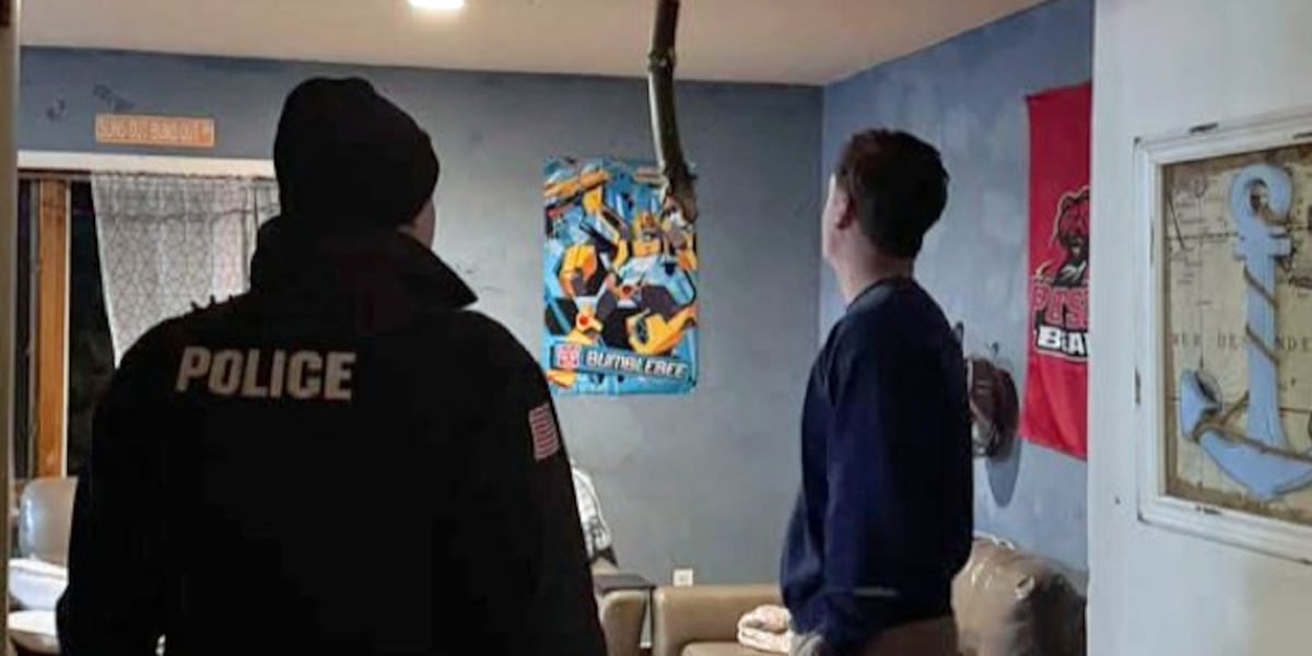 Tree falls on SUNY Potsdam students’ home