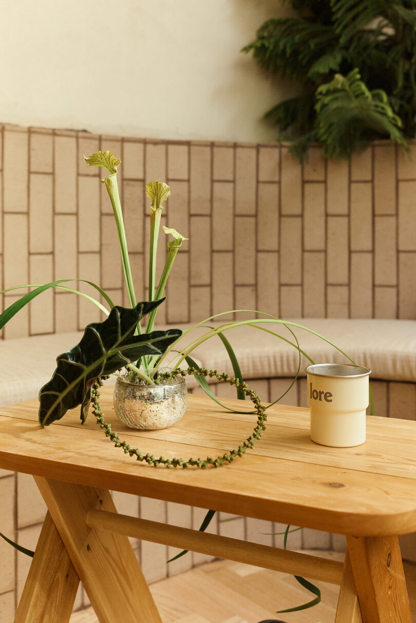 A small glass vase with green and white plants and a cream-colored cup labeled "lore" sit on a wooden table; a tiled wall and leafy plant are in the background.