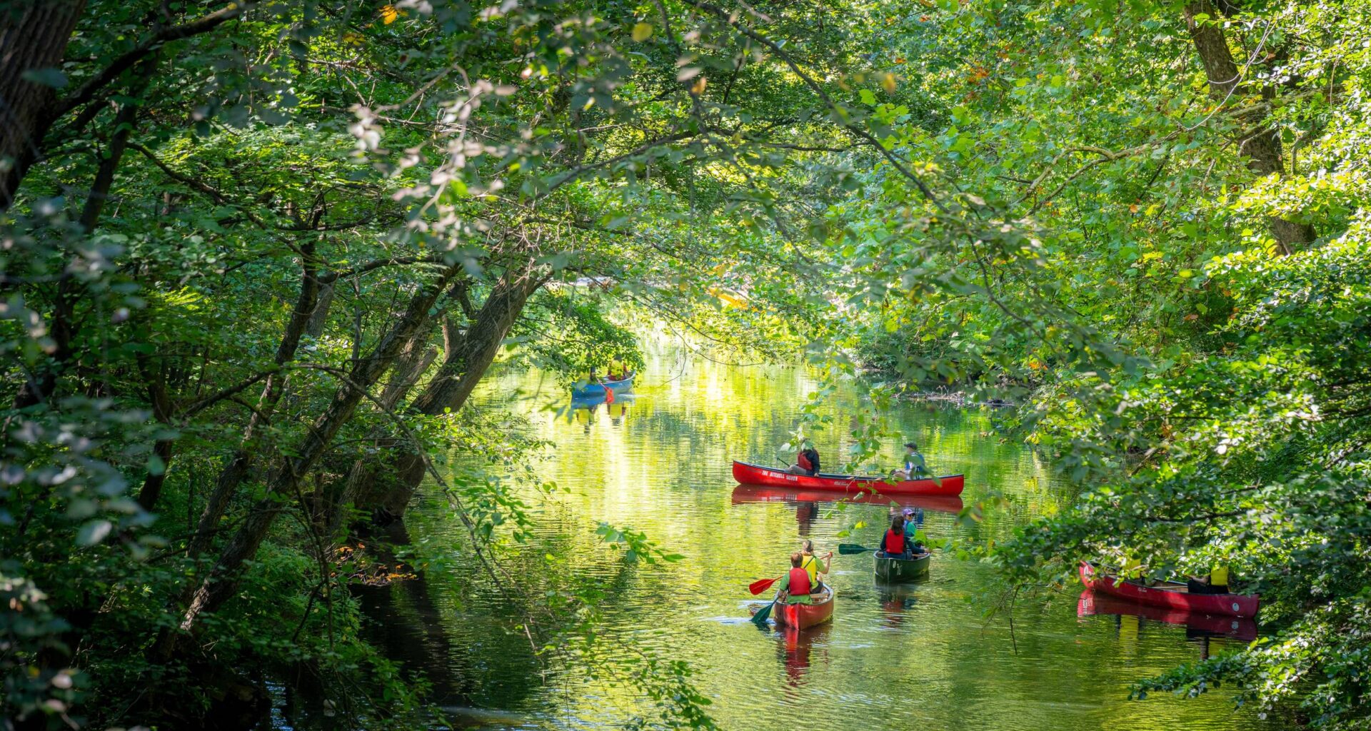 The Bronx River Assembly Reconvenes at NYBG to Protect the Watershed