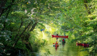 The Bronx River Assembly Reconvenes at NYBG to Protect the Watershed