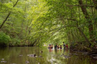 A group of campers with bright orange and red life jackets wades into the water of the Bronx River during summer.