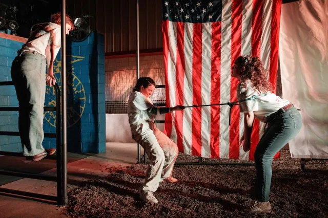 Review: In Calf Scramble, Teen Angst Meets the Future Farmers of America