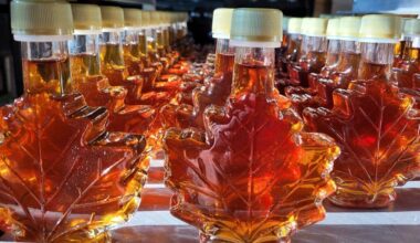 Maple Month begins in New York State