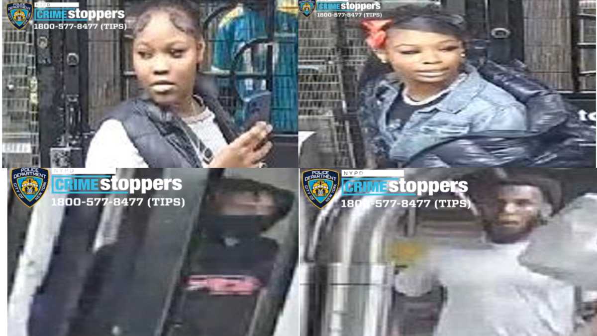 suspects in bronx subway assault
