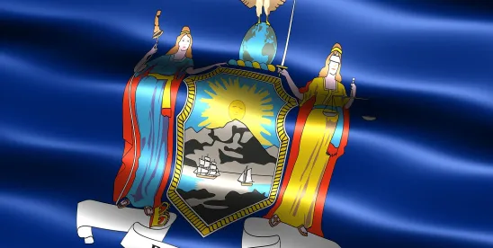 New York FY 2026-2027 Healthcare Transaction Oversight Expansion