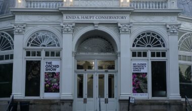 Mr. Flower Fantastic creates true ‘Concrete Jungle’ display of NYC