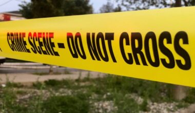 Teen girls aged 14 and 16 wounded in shooting outside Brooklyn McDonald's