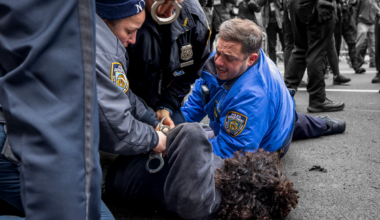 The attacks in Michigan, Virginia, New York, and Texas.