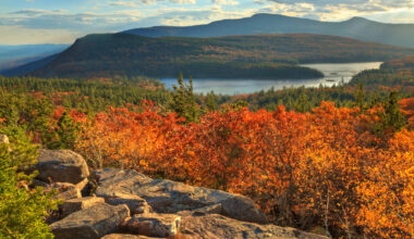 We Must Protect the CLCPA From Being Dismantled!