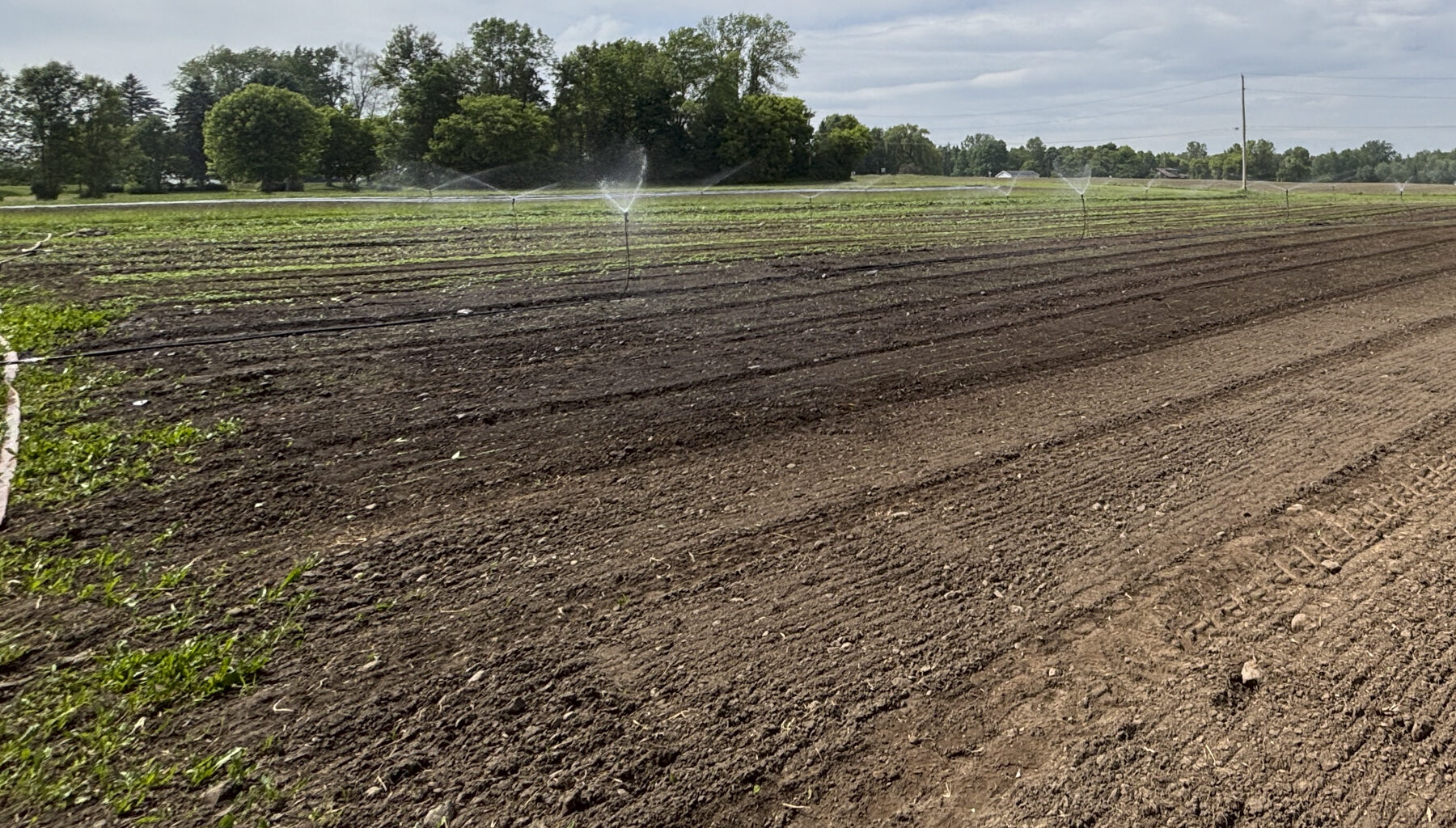 DEC lifts drought watch for upstate drought regions