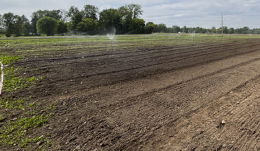 DEC lifts drought watch for upstate drought regions