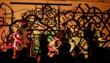 What Exactly Was Brooklyn's Indie Rock Scene?