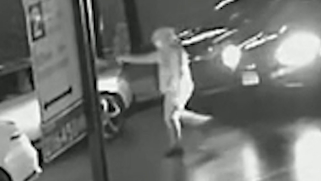 NYPD cop suspended for off-duty Bronx shooting of suspected lookout in theft of his car