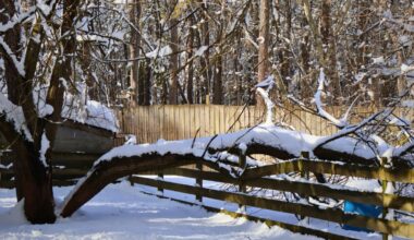Blizzard causes heavy damage to New Jersey animal refuge – NBC New York