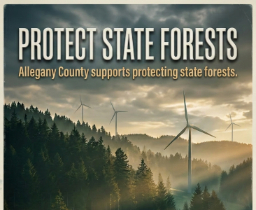 Allegany County sends strong message to Albany: Hands off NY State Forests