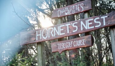 Charlotte’s Legacy Continues! Top Storylines & How to Watch the DGPT Queen City Classic