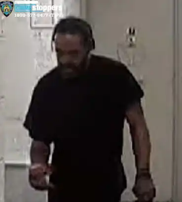 Suspect in Bronx assault