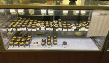 New York Cannabis, Five Years In: Markets, Medicine, and the Messy Middle