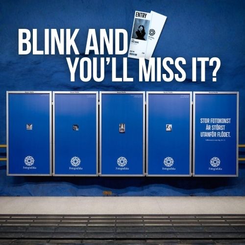 Theresa DiNapoli’s Queens Billboard Stunt Sells Florida