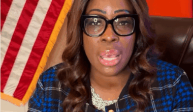 Bronx Week 2026 Paused Amid Economic Uncertainty