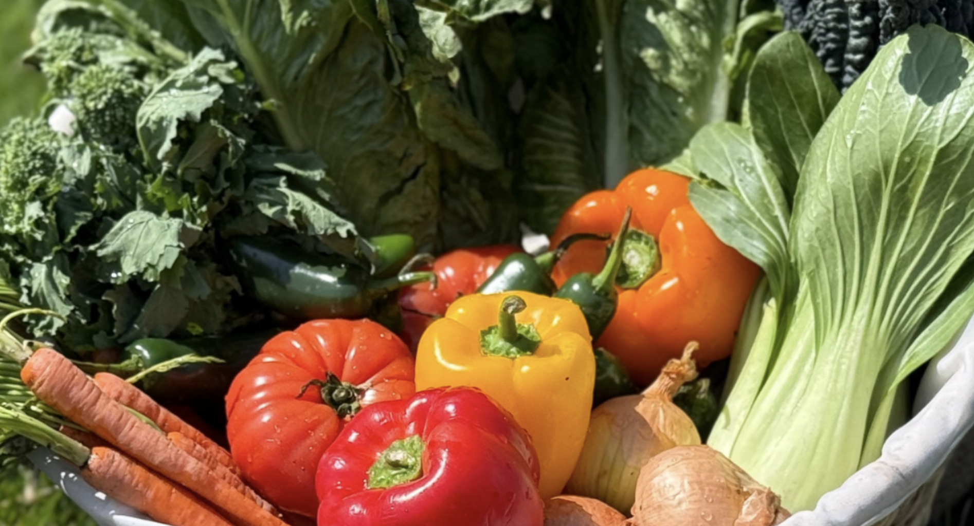 2026 CSA Sign-Ups are open in Brooklyn | Brooklyn Bridge Parents