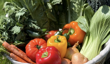 2026 CSA Sign-Ups are open in Brooklyn | Brooklyn Bridge Parents