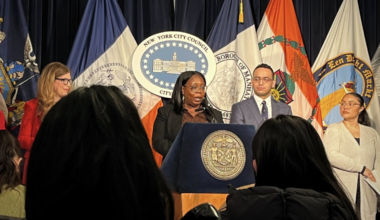 New York City Councilmember Althea Stevens — chair of the Committee on Children and Youth — speaks at a Feb. 24 press briefing. (Credit: Jack Walker)