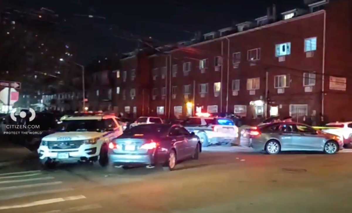 Police cars at Queens shooting scene