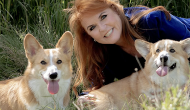 The case for cloning the Queen’s corgis