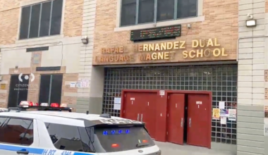 An 11-year-old girl is in custody after allegedly stabbing a 12-year-old boy at a Bronx school Monday.