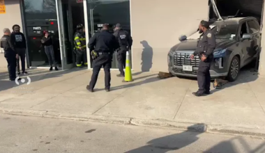 News 12 | Brooklyn | Car crashes into Midwood car dealership; 1 person injured
