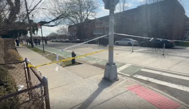 News 12 | Brooklyn | Man critically injured in East New York shooting