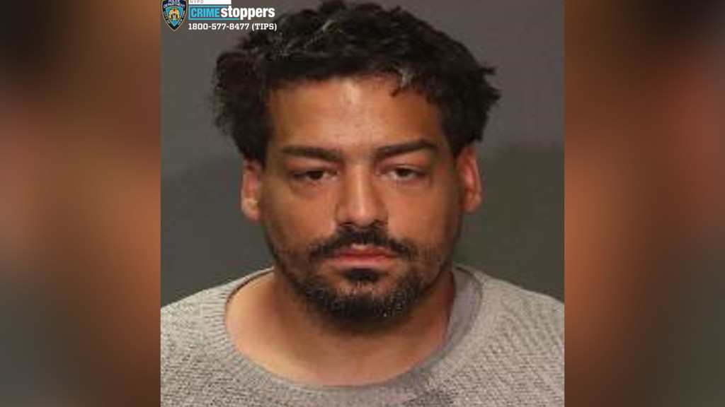 NYPD IDs stabbing suspect who wounded cop in Bronx subway pursuit