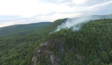 To limit wildfire risk, New York's burn ban is now in effect until May 14