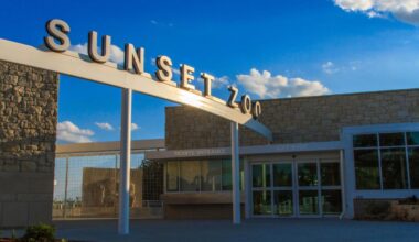 Manhattan’s Sunset Zoo Welcomes Kartick The Sloth Bear